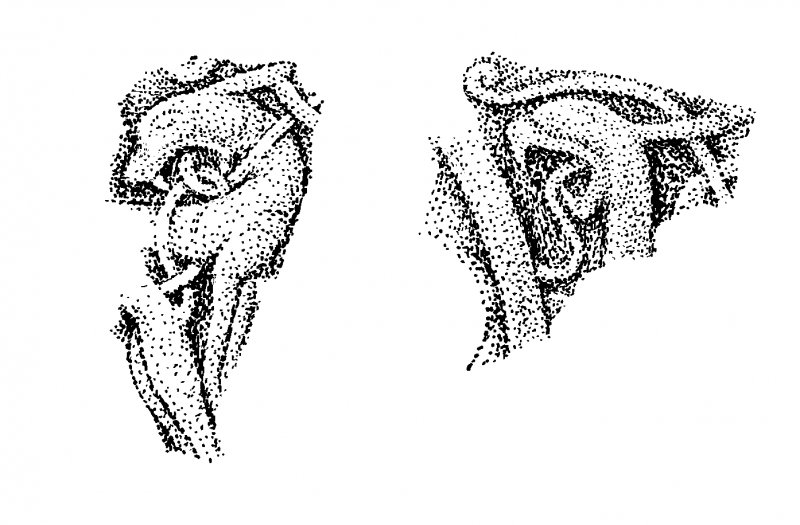 Measured drawing of Hilton of Cadboll: fragments
