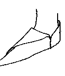 [SHOE