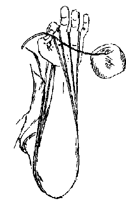 thread.gif (4423 bytes)