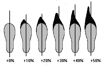 [Image: Chart of Toe Lengths]