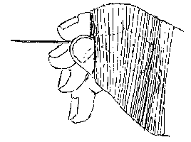 twist.gif (3184 bytes)